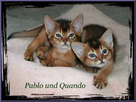 Pablo und Quando
